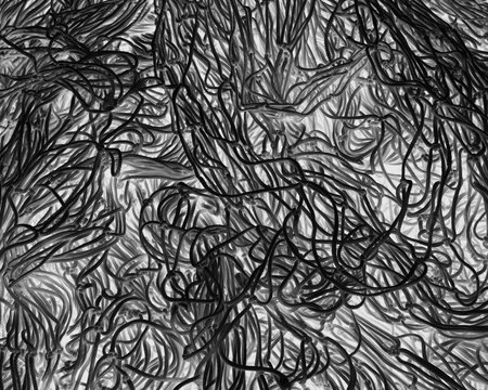 Inverted black and white image of commercial fishnets and ropes on a fishing quay.,Seattle