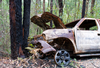 Burnt out car in the forest