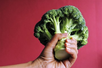 Women hand holding fresh broccoli. photo isolate on pink copy space 
