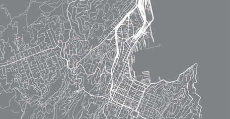 Urban vector city map of Wellington, New Zealand