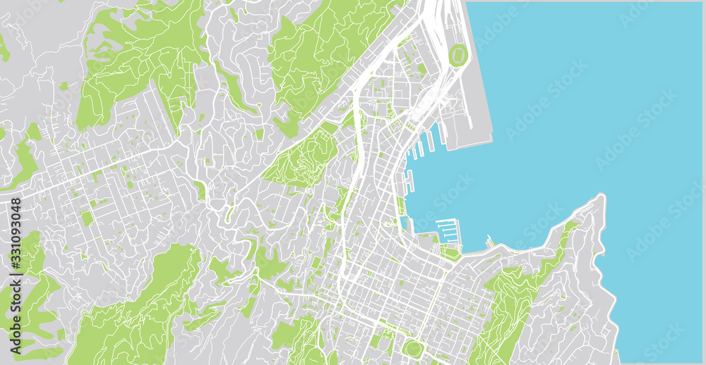 Wall mural urban vector city map of wellington, new zealand