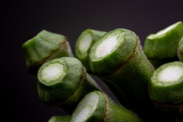 Super macro shot of tops of Okra or Ladies' fingers vegetable against a dark grey background. Studio well lit low key still life.