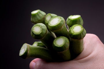 Okra or Ladies' fingers vegetable