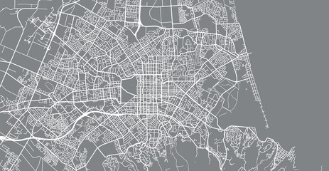 Urban vector city map of Christchurch, New Zealand - obrazy, fototapety, plakaty