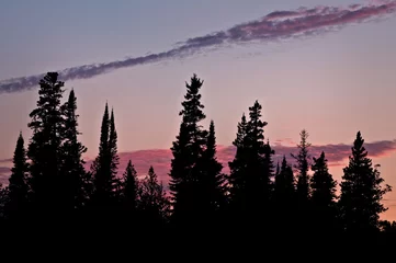 Badkamer foto achterwand Mistig bos Twilight at Tobin Harbor in Isle Royale National Park, Michigan.