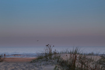 Dune at sunset on Carrasco beach in Montevideo