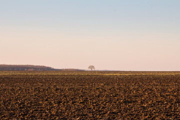 Agricultural landscape, a plowed field in the countryside of Serbia, in Voivodina. The plough is one of the techniques used in agriculture to fertilize a land