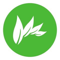  Leaf Logo