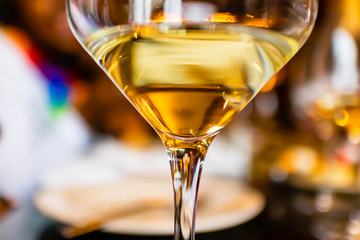 low angle glass of white wine