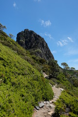 Fototapeta na wymiar 世界遺産クレイドルマウンテンでトレッキング。World Heritage Cradle Mountain National Park, Tasmania, Australia.
