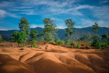 Paisaje rural mexicano