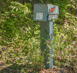 Old rural mailbox on wooden post