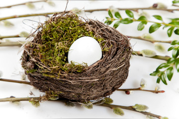 Easter Egg in bird nest with green moss spring foliage background leaves, bears catkins, willow branch on white  - obrazy, fototapety, plakaty