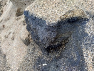 Beach sand with natural background. Good for quotes or other project.