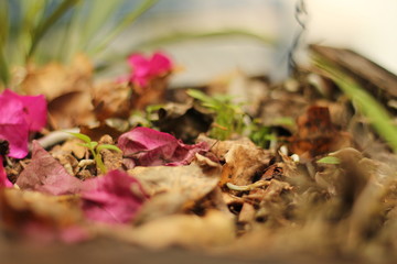 Nature color palette