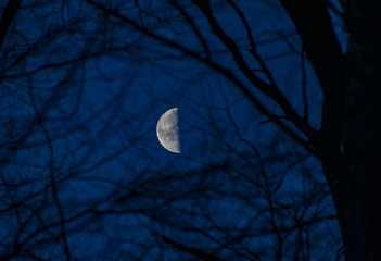 third quarter moon in the sky
