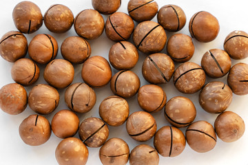 Macadamia nuts in the shell isolated on a white background close-up.