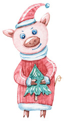 Watercolor colorful Christmas clipart with Christmas pig. Perfect for pattern, wrapping paper, textile design, print, fabric, packaging