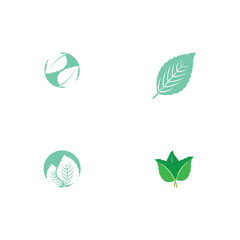 Set Leaf Mint Logo Template vector