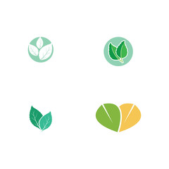 Set Leaf Mint Logo Template vector