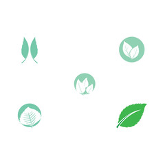 Set Leaf Mint Logo Template vector