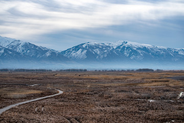 Salt Lake Preserve and Refuge