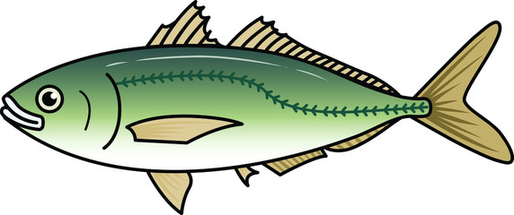 魚のイラストーアジ
