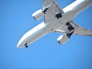 飛行機