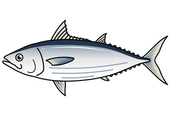 魚のイラストーカツオ