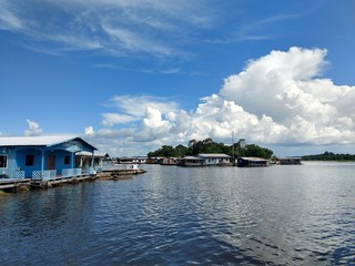 Obraz premium Stilts at the Negro River, Manaus, Brazil