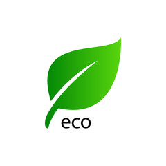Green leaf icon design. Eco symbol concept isolated on white background. Vector illustration