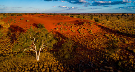 Red sand dunes and ghost gums west of Windorah looking their best in the late afternoon light