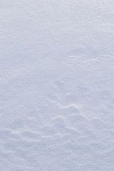 Snow surface in the background light. Texture, background. Vertical arrangement. Light snow cover with relief. Snow glistens in the sun.