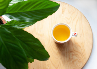 Cup of green tea on a wooden round board with big leaf of plant in sunny day
