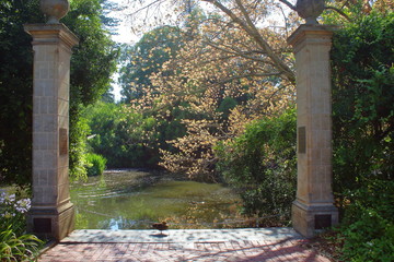Adelaide Botanic Garden