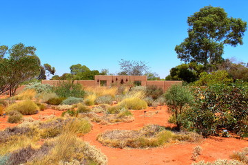 Fototapeta premium Australian Arid Lands Botanic Garden