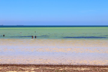 Fototapeta na wymiar Beach and Sea in Whyalla, South Australia