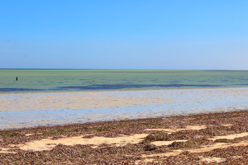 Fototapeta na wymiar beach and sea in Whyalla, South Australia