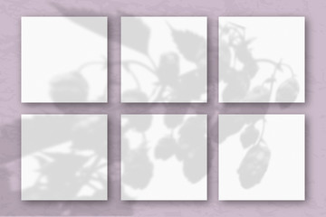 6 square sheets of white textured paper on a pastel lilac wall. Mockup overlay with the plant shadows. Natural light casts shadows from the tops of field plants and flowers. Flat lay, top view