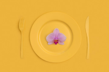 Pink Orchid flower on top on a yellow plate, knife and fork. On yellow background. The view from the top.