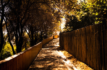 Camino mágico a lo desconocido