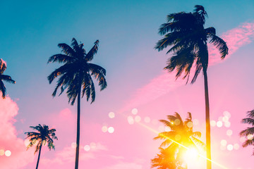 Fototapeta na wymiar Tropical palm coconut trees on sunset sky flare and bokeh nature.