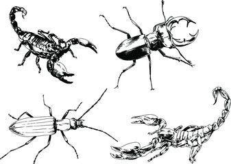 vector drawings sketches different insects bugs Scorpions spiders drawn in ink by hand , objects with no background