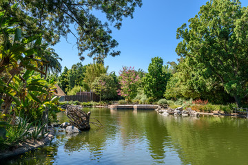 Fototapeta na wymiar Big lake in the beautiful garden with trees, flowers and blue sky.