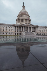 Fototapeta premium The Capitol Building is empty during the COVID-19 pandemic