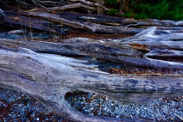 water, river, stream, nature, waterfall, rock, rocks, landscape, stone, cascade, forest, mountain, green, spring, tree, creek, park, fall, flow, flowing, mountains, brook, clean