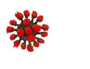 covid-19 covid 19 coronavirus space for your text background isolated - 3d rendering