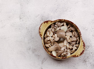 Pickled oyster mushrooms with garlic in a bowl on a light background. Top view, flat lay