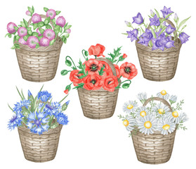 Set of basket wildflowers