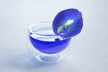 Butterfly pea blue tea in a cup